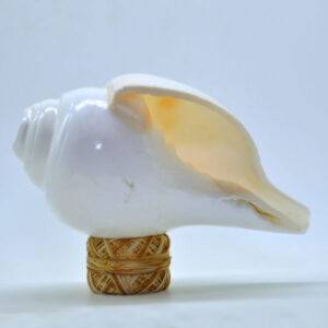 Buy Original Blowing Shankh