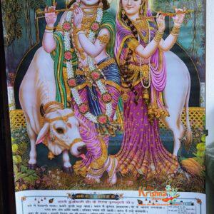 Radha Krishna with Cow Jumbo Wall Calendar Size 33″ x 56″