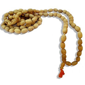 Mridanga Shaped Tulsi Japa Beads