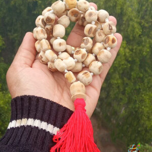 54 + 1 Beads Pure Shyama Tulsi Original Japa Mala