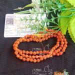 Lab Certified Panch Mukhi Rudraksh Mala