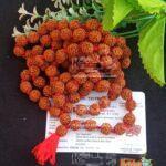 Rudraksh Japa Mala 108 Beads with One Guru Beads