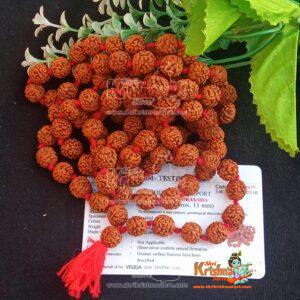 Rudraksh Japa Mala 108 Beads with One Guru Beads