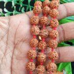 Rudraksh Japa Mala 108 Beads with One Guru Beads