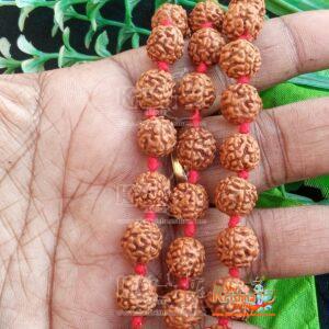 Rudraksh Japa Mala 108 Beads with One Guru Beads