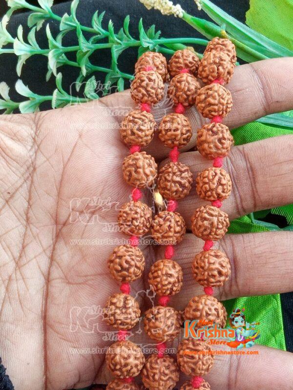 Rudraksh Japa Mala 108 Beads with One Guru Beads