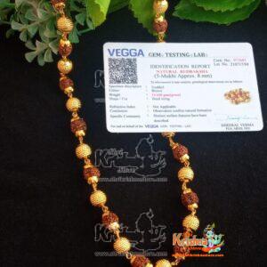 Gold Rudraksha Mala, Rudraksha Bead Mala