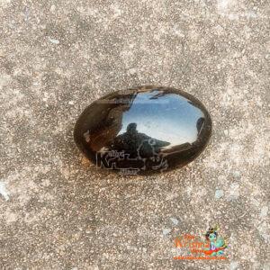 Shaligram Shala Sarvottam Laxmi Narayan Gandaki River Natural A++ Quality Stone