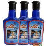 Pure Ganga Jal Gangajal Holy Water 400 Ml Positive Energy