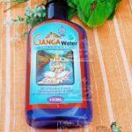 Pure Ganga Jal Gangajal Holy Water 400 Ml Positive Energy
