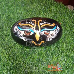 Little Krishna's Painted Shaligram Stone