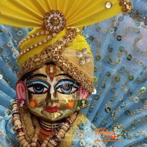 Bal Gopal Ji 7 No With Designer Dress