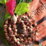 Om Namah Shivay 108 + 1 Guru Beads Original Tulsi Japa Mala – 14 mm