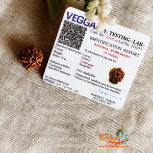 Wholesaler, Exporter and Suppliers in India and Worldwide. Buy Original Tulsi Mala Products Online from www.originaltulsimala.com