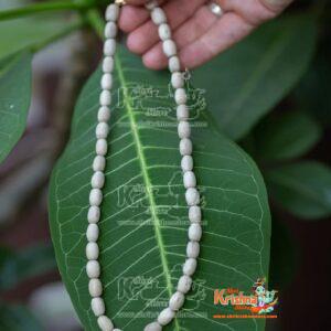 Barrel Shaped Tulsi Kanthi - Premium