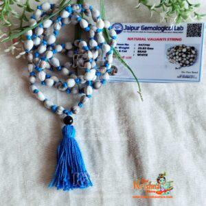 Certified Vaijanti Seeds Mala