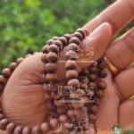 Wholesaler, Exporter and Suppliers in India and Worldwide. Buy Original Tulsi Mala Products Online from www.originaltulsimala.com