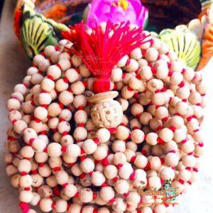 1008 Pure Tulsi Beads Japa Mala -Holy Basil Seeds For Prayer