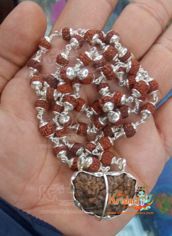 Ek Mukhi Rudraksh With Silver Cap Mala