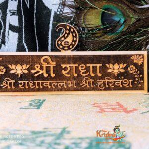 Radhavallabh Shri Harivansh Naam Sewa Vrindavan Dhaam