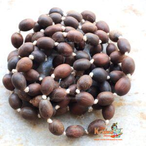 Shyma Tulsi Oval Shape Japa Mala