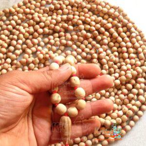 1008 + 1 Original Shyama Tulsi Beads Japa Mala -for Chanting