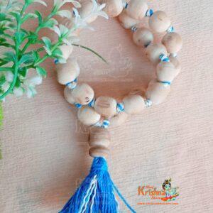 shrikrishnastore.com