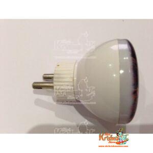 Radhey Radhey Night Lamp