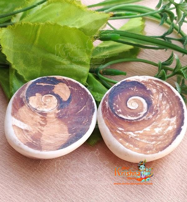 omati Chakra (21 Pcs) Small Size Natural and Real Chakra for Puja and Brings Prosperity