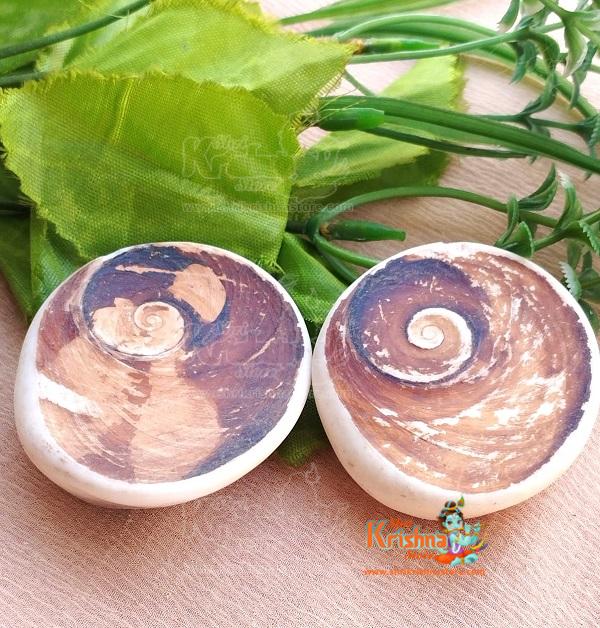 omati Chakra (21 Pcs) Small Size Natural and Real Chakra for Puja and Brings Prosperity