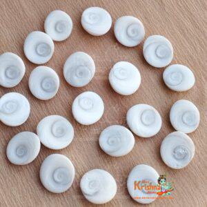 Gomti Chakra Gomati Chakra (21 Pcs) Small Size Natural and Real Chakra for Puja and Brings Prosperity, Happiness, Good Health & Wealth Stoneware Yantra