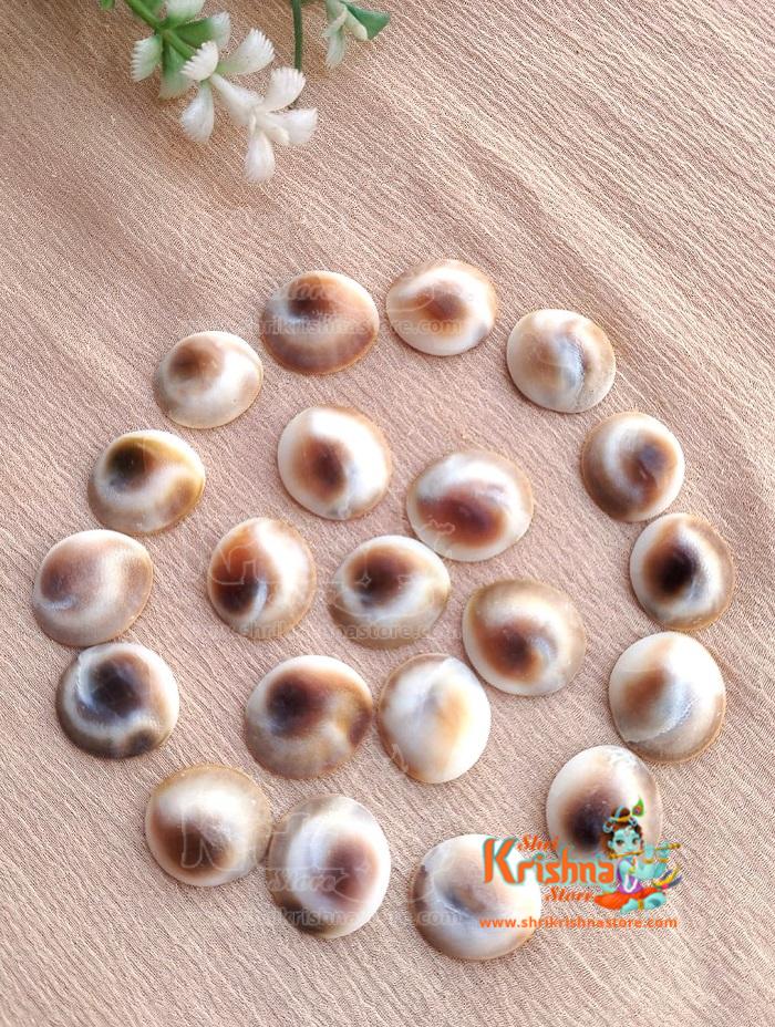 Gomti Chakra Gomati Chakra (21 Pcs) Small Size Natural and Real Chakra for Puja and Brings Prosperity, Happiness, Good Health & Wealth Stoneware Yantra