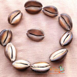 Natural Kaudi for Diwali Puja/Laxmi Puja Set of 11