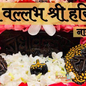 Radhavallabh Shri Harivansh Naam Sewa Vrindavan Dhaam