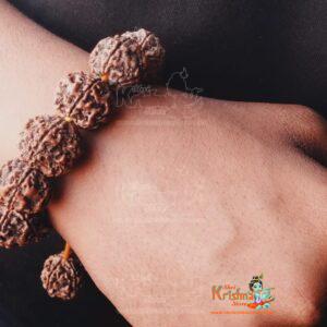 Rudraksha Bracelet, 5 Mukhi Rudraksha Bracelet With Adjustable Thread