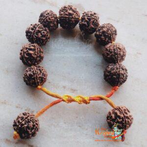 Rudraksha Bracelet, 5 Mukhi Rudraksha Bracelet With Adjustable Thread - Traditional