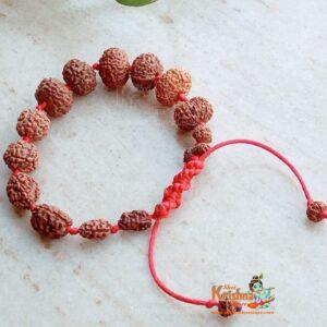 1 to 14 Mukhi Sarv Siddha Rudraksha Bracelet
