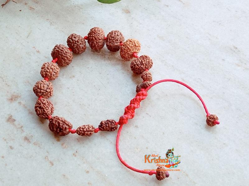 1 to 14 Mukhi Sarv Siddha Rudraksha Bracelet