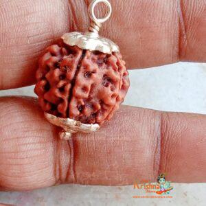 Natural 8 Mukhi/Face Rudraksha (Nepal Origin)