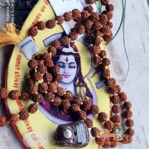 Rudraksha Japa Mala 108 + 1 Beads With Bead Bag and Digital Counter - Certified