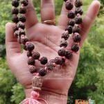 Iskcon 108 + 1 Shyama Tulsi Beads Original Tulsi Japa Mala in Radha Carved Beads – Radhe Radhe Japa Mala