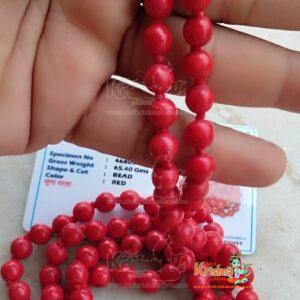 Certified Moonga Mala (Red Coral Mala) & Original 8mm 108 beads