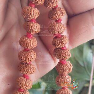 8 Mukhi Rudraksha Mala with Lab Certified