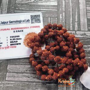Lab Certified Panch Mukhi Rudraksh Mala in 5 mm