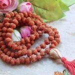Original Rudraksha Mala 108 Beads