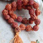 Buy Original Rudraksha Karmala 27 Beads