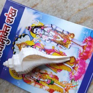 Sarva Badha mukti shankh