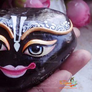 Sudarshan Original Shaligram Chakra With Thakan