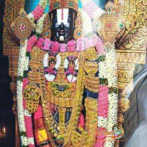 Balaji Maharaj Jumbo Wall Calendar Size 33″ X 56″