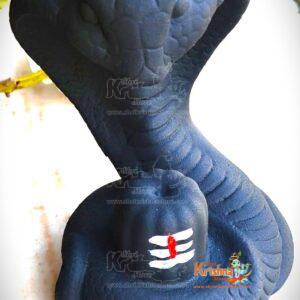 Lord Shiva Smoke Fountain Aromatic Incense Holder